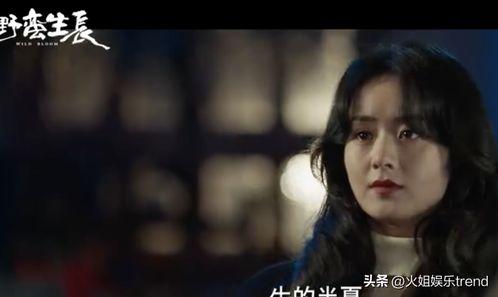 吃瓜新剧赵丽颖视频,剧情揭秘引观众热议