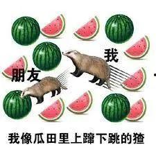 马吃瓜视频,揭秘网络红人的幕后故事