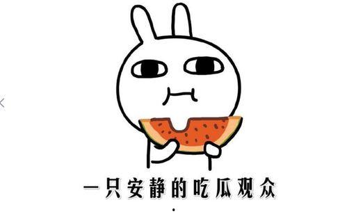 吃瓜视频段子怎么做的,揭秘吃瓜视频段子背后的制作技巧