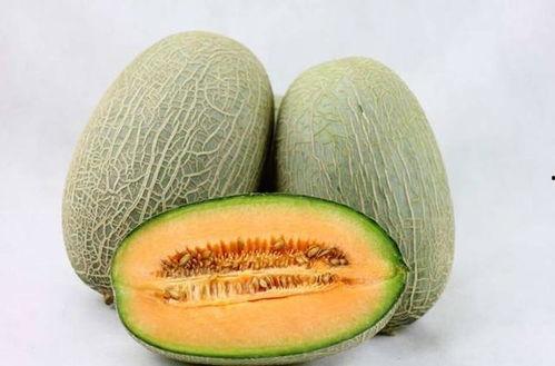 女子吃哈密瓜像猴子视频,女子吃瓜视频走红网络