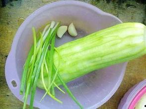 韩国水瓜怎么炒着吃视频